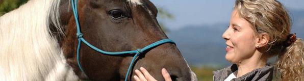 Mehr Wohlbefinden für Ihr Tier